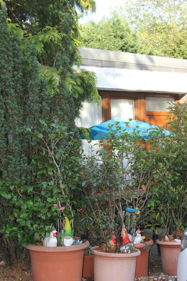 Ferienwohnung Fellnasen Wg Krefeld Buitenkant foto