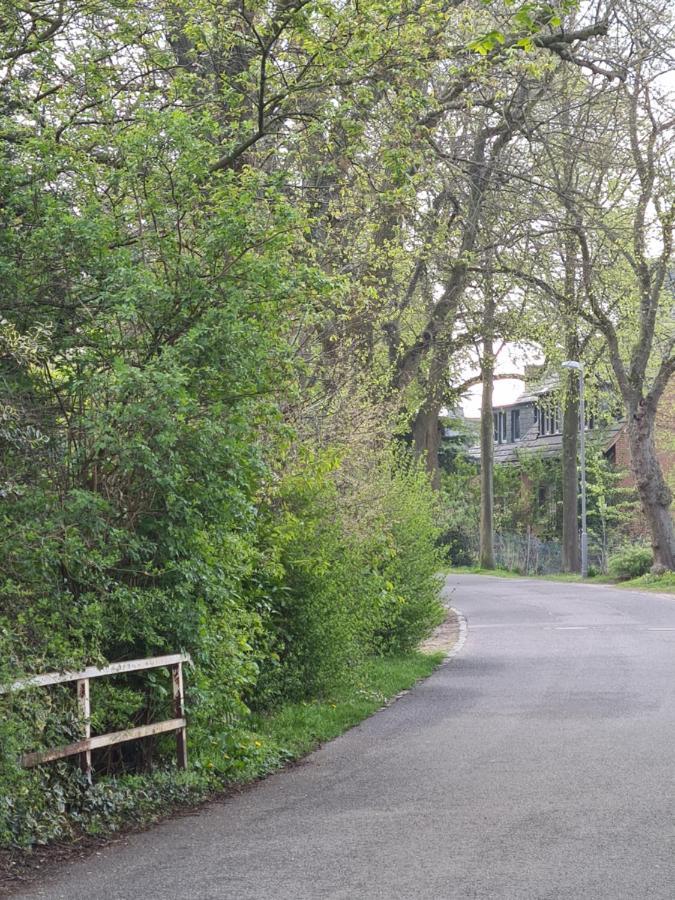 Ferienwohnung Fellnasen Wg Krefeld Buitenkant foto